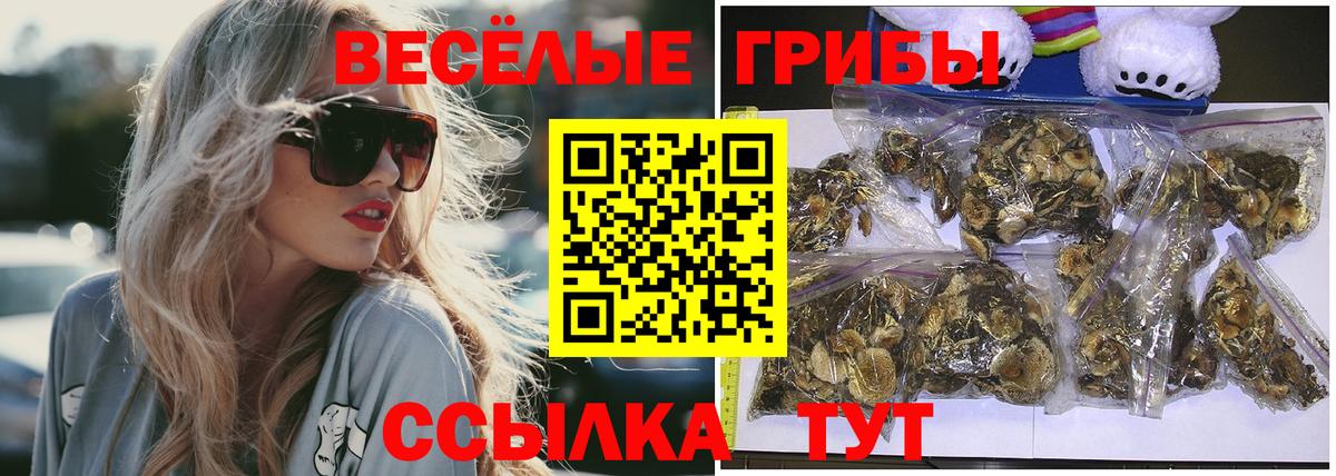 Донской  Галлюциногенные грибы MAGIC MUSHROOMS  Вход с VPN 